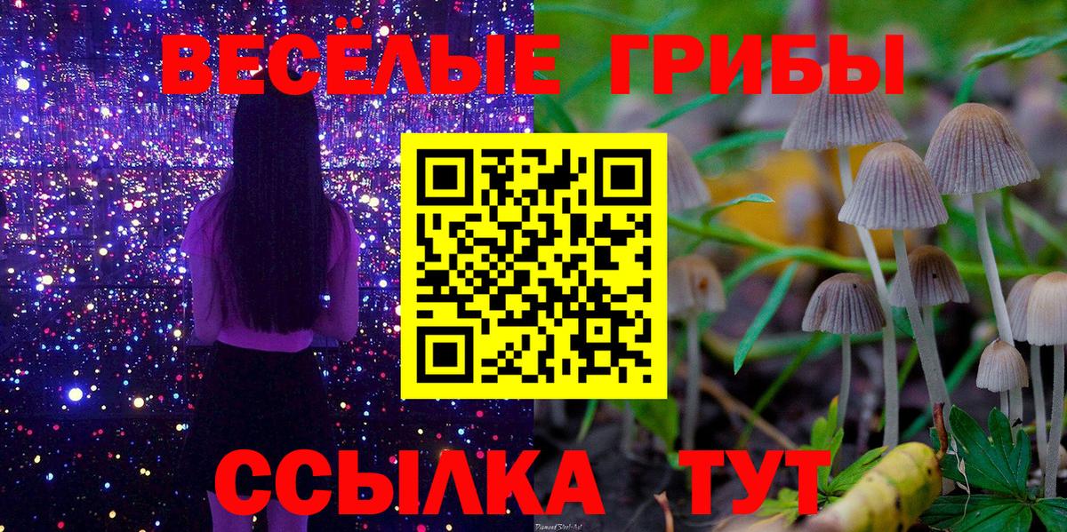 Псилоцибиновые грибы MAGIC MUSHROOMS  Вход с VPN  Псилоцибиновые грибы ЛСД  Туапсе 