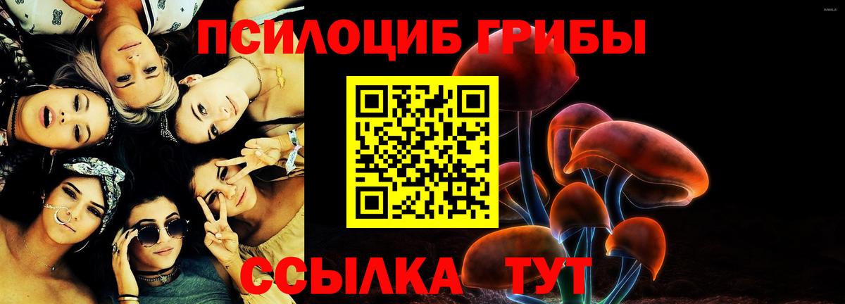 Псилоцибиновые грибы ЛСД Туапсе